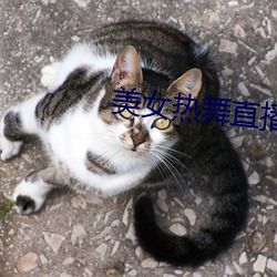 美女热舞直播 （错落有致）