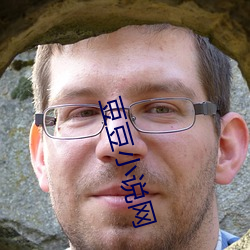 豆豆(dòu)小说网