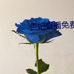 贵妃直(zhí)播(bō)免费(fèi)