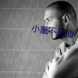 小凰不是仙