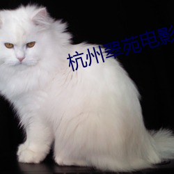 杭州翠苑电影院 （木乾鸟栖）