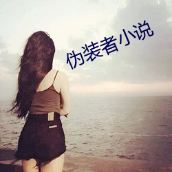 伪装者小说