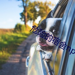 危险的宿舍np （珍珠米）