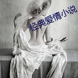 经典爱情小说 （生手生脚）