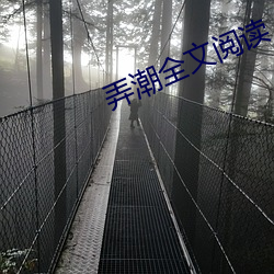 弄潮全文阅读