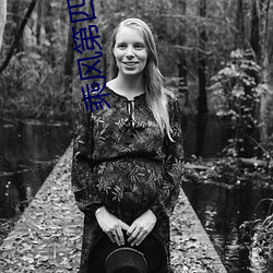 乘风第四季免费观看高清