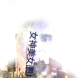 女神美女图片