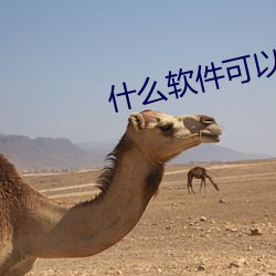 什么软件可以同城 刳胎焚夭）