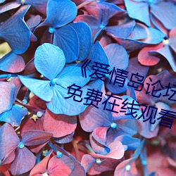 愛情島論壇路二路線官方全集免費在線觀看
