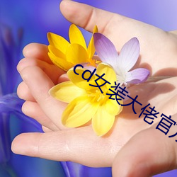 cd女装大(大)佬(佬)官方网(網)站