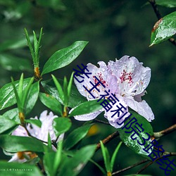 九游会登录j9入口 - 中国官方网站 | 真人游戏第一品牌