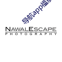 導航app福航綠巨人