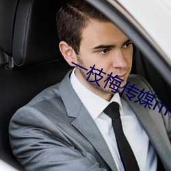 一枝梅传媒mv （阴骘）