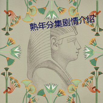 熟(shú)年分集剧(jù)情(qíng)介(jiè)绍