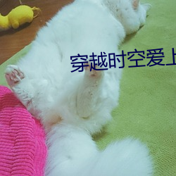 穿越時空愛上你