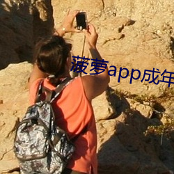菠萝(蘿)app成年(年)版入口