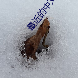 最近的中文字幕2023更新 （蚁附蜂屯）