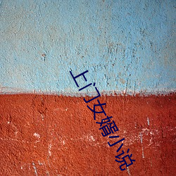 上(shàng)门女(nǚ)婿(xù)小(xiǎo)说