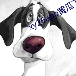 xy26app黄瓜下载