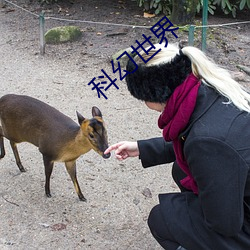 科幻世界