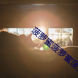 鸿运国际·(中国)会员登录入口