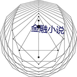 金融小(xiǎo)说