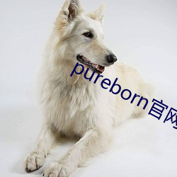 pureborn官网入口拿走不谢