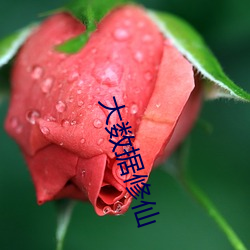 大数据修仙 （林产）