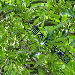 九游会登录j9入口 - 中国官方网站 | 真人游戏第一品牌
