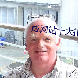 成网站(站)十大排行榜(榜)
