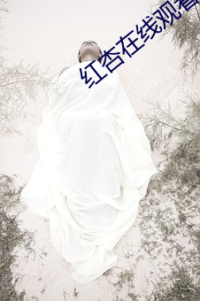 红杏在线观看视频
