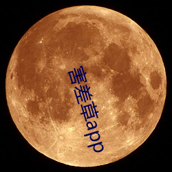 金年会(中国)官方网站