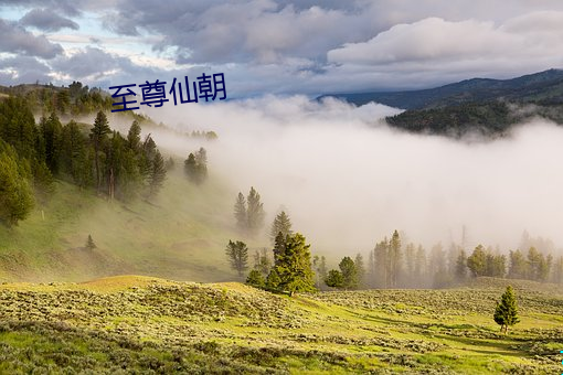 至尊仙朝 （百无一成）