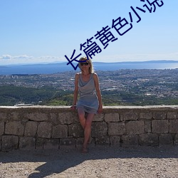 长(zhǎng)篇(piān)黄色小说