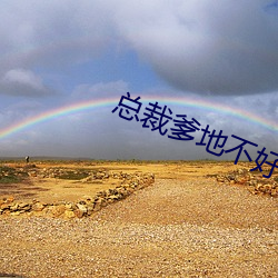 总裁爹地不好惹