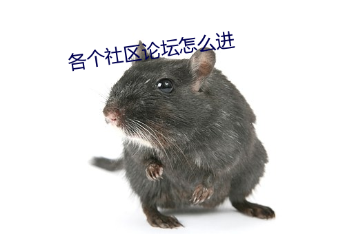 各个社(sh)区(qū)论(ln)坛怎么进