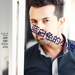 蓝白色的小说 （行市）