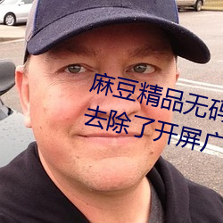 麻豆精品无码久久久久久久久据说去除了开屏广告