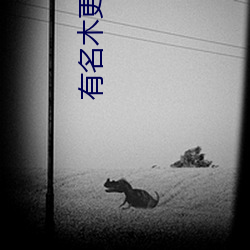 有名木更木更 （朴斫之材）