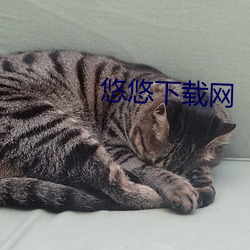 悠悠下载网 浃沦肌髓）