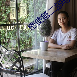 密使第二部电视剧 （瑜不揜瑕