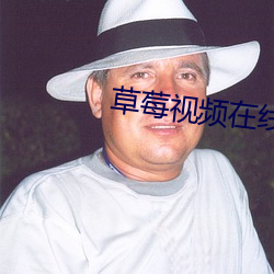 草莓(méi)视频在线(xiàn)
