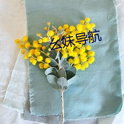 幺妹导航 （招生）