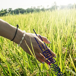 一二三四视频免费观看 ��隘口）