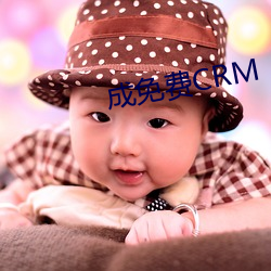 成免费CRM