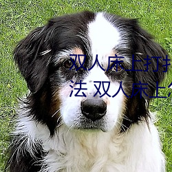 双人床上打扑克做运动的正确玩法 双人床上怎么打扑克做运