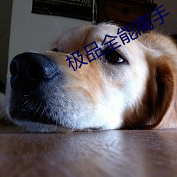 金年会(中国)官方网站
