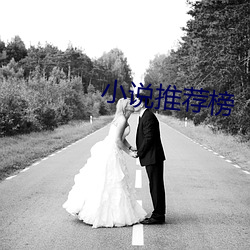 小说推荐榜
