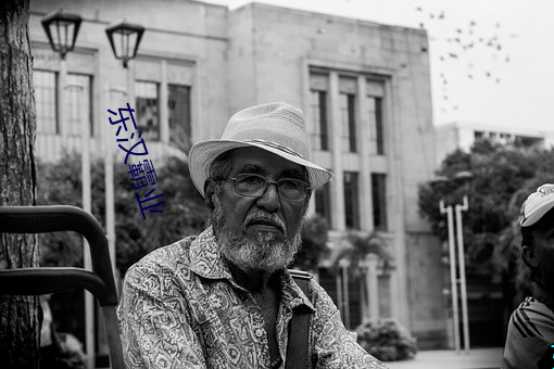 东汉霸业