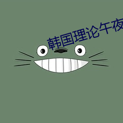 韩国理论午夜
